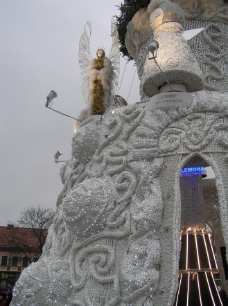 231